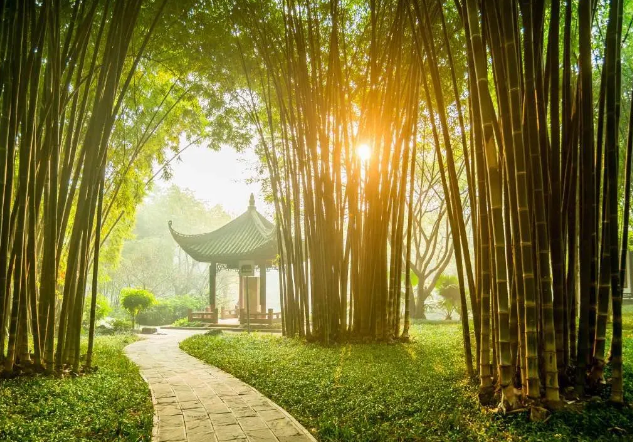 早起三不要，飯后三不急，睡前三不宜